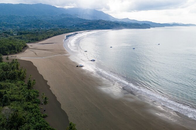 Bahia Ballena Whale and Dolphin Tour - Morning - Isla Ballena, snorkeling, and the seasonal water stop