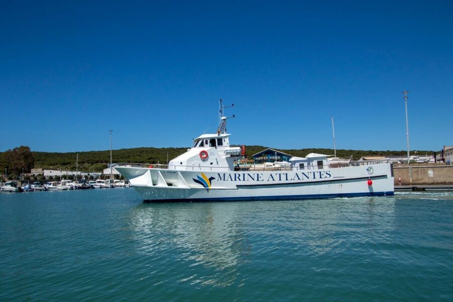 Barbate: Dolphin and Whale Watching in Cape Trafalgar - What the three-hour route feels like