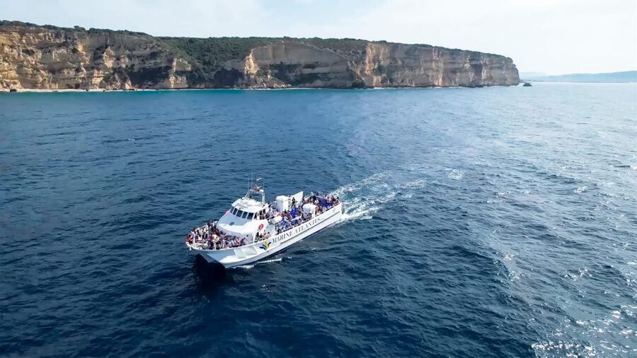Barbate: Dolphin and Whale Watching in Cape Trafalgar - Watching dolphins beside the boat