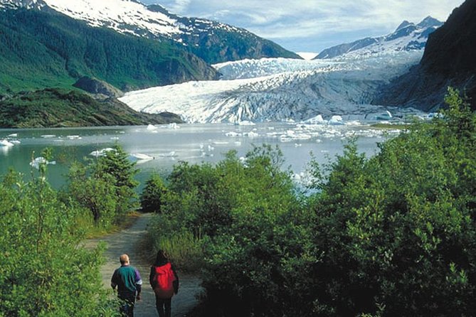 Best of Juneau: Mendenhall Glacier, Whale Watching and Salmon Bake - Timing, transport, and ship-day planning