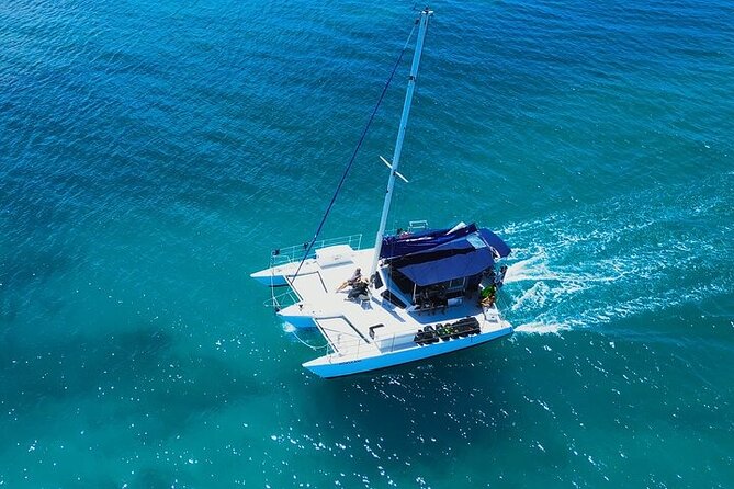 Best Waikiki Whale Watching in Honolulu: Whales Guaranteed - Crew style and onboard learning