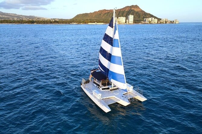 Best Waikiki Whale Watching in Honolulu: Whales Guaranteed - Searching for humpbacks in Hawaiian waters