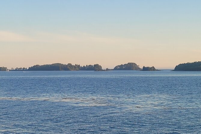 Best Whale Watching and Wildlife Shore Excursion in Sitka - Why the boat works well for photography