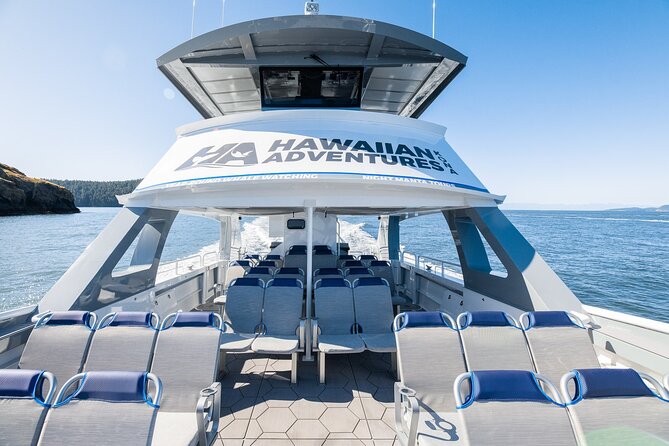 Big Island: Pelagic Whale Watch Tour - Why Kona is such a strong whale-watching base