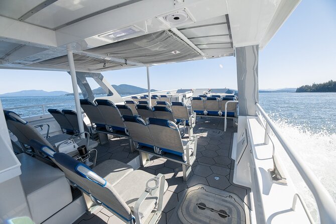 Big Island: Pelagic Whale Watch Tour - What the 3 to 4 hours feel like