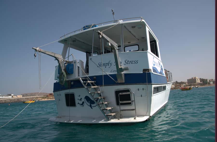 Boa Vista: Whale Watching Trip with Motoryacht - Afternoon or morning departure?