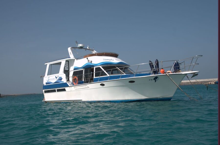 Boa Vista: Whale Watching Trip with Motoryacht - Is $94 a fair price?