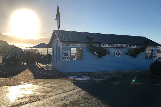Boat Based Whale Watching from Hermanus - Choosing the right time of year
