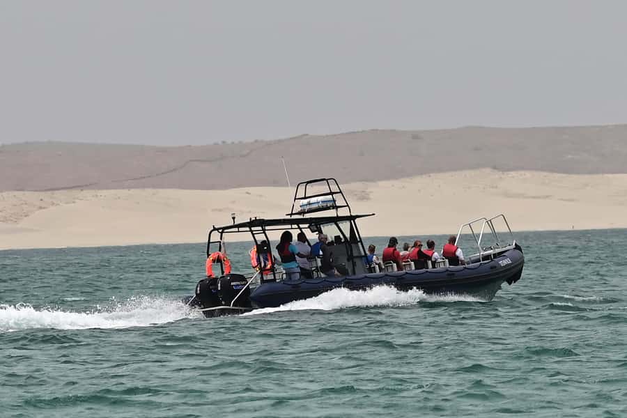 Boavista: Whale Watching half day trip - Practical Details Before You Reserve