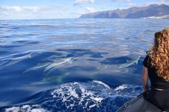 Bonadea II Ecological Whale Watching, 2 hours - Respectful watching instead of a wildlife chase