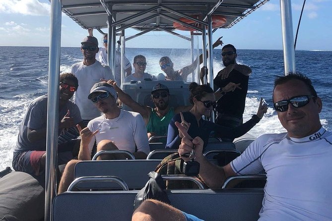 Bora Bora Whale Watching - The listed itinerary and what to expect on the water