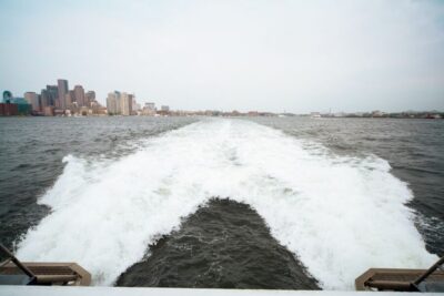 Boston: City Cruises Whale Watching Cruise