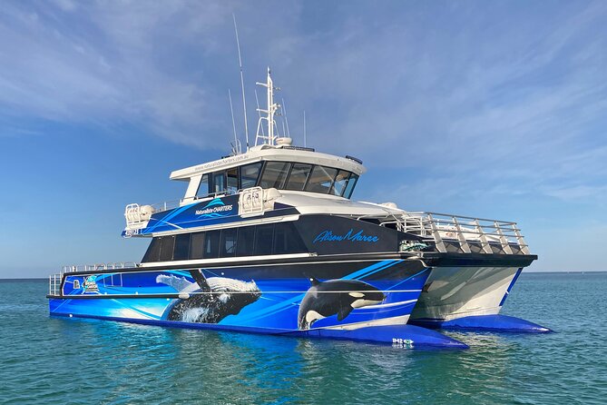 Bremer Canyon Killer Whale (Orca) Expedition - The Offshore Search for Killer Whales
