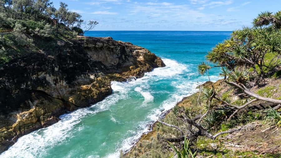 Brisbane to North Stradbroke Island Day: Wildlife & Beaches - Key points to know before you book