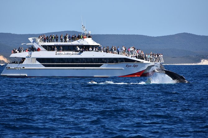 Brisbane Whale Watching Cruise from Redcliffe or Sunshine Coast - Who will enjoy this cruise most