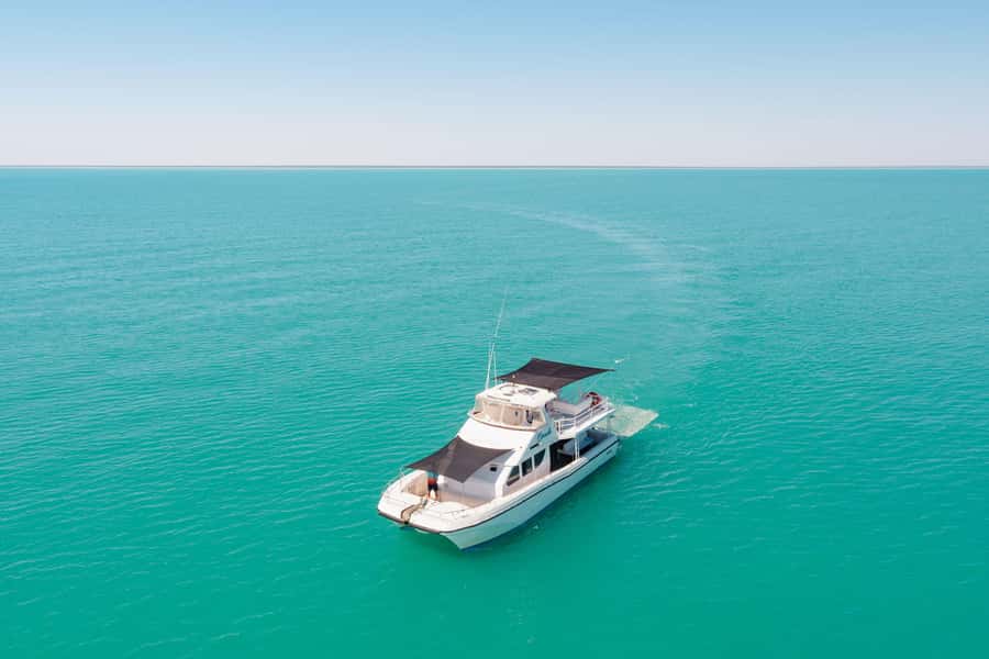 Broome: Whale Watching & Sunset Cruise - Should you book the Broome whale watching cruise?
