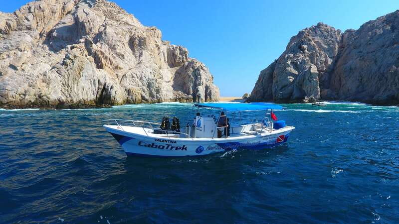 Cabo San Lucas: 2.5-Hour Whale Watching Tour - Who should choose this tour?