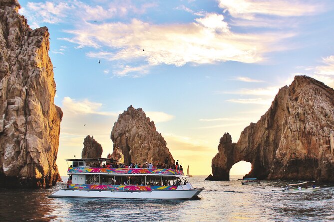 Cabo San Lucas Humpback Whale Watching Tour - Is the $99 price fair?