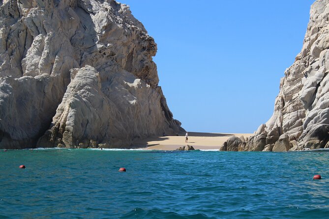 Cabo San Lucas Humpback Whale Watching Tour - Meeting point, pickup, and group size