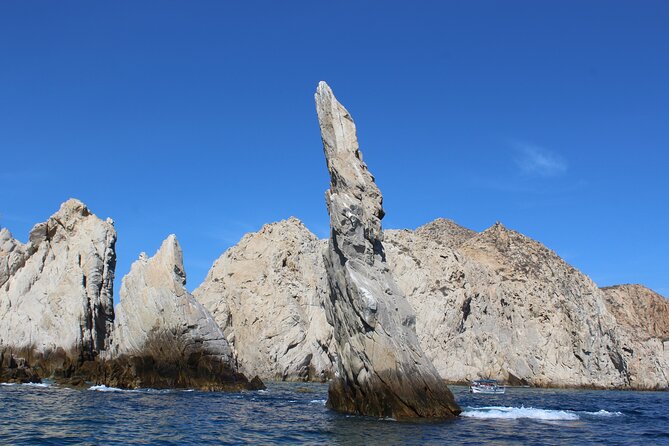 Cabo San Lucas Humpback Whale Watching Tour - Weather, cancellations, and practical planning