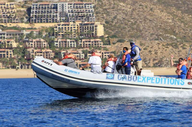 Cabo San Lucas: Up-Close Whale Watching Small-Group Tour - The first 15 minutes on the water