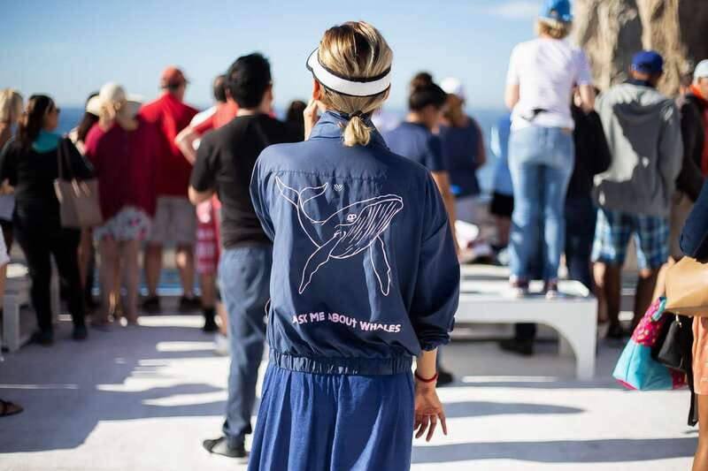 Cabo San Lucas: Whale Watching Breakfast Cruise - Whale watching with useful context