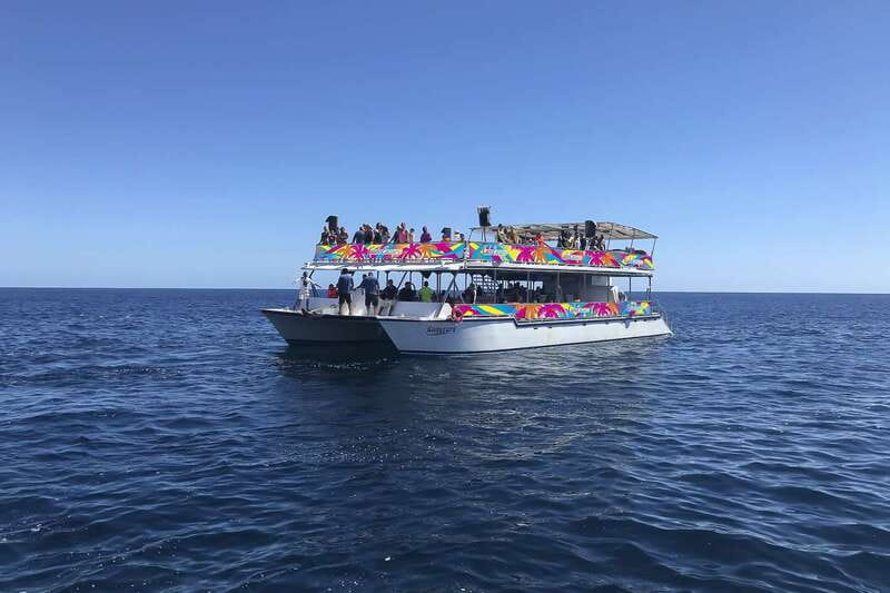 Cabo San Lucas: Whale Watching Breakfast Cruise - The open bar and the real cost