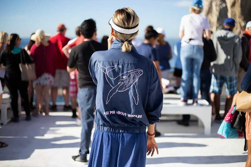 Cabo San Lucas: Whale Watching Breakfast Cruise - Who will enjoy this Cabo morning