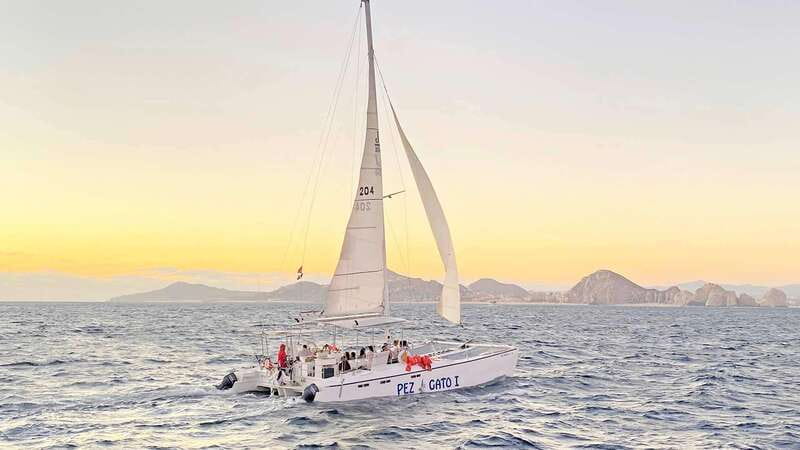 Cabo San Lucas: Whale Watching Experience on Catamaran - Cabo’s Arch, Lover’s Beach, and Land’s End