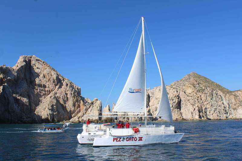 Cabo San Lucas: Whale Watching Experience on Catamaran - Practical ways to make the day better