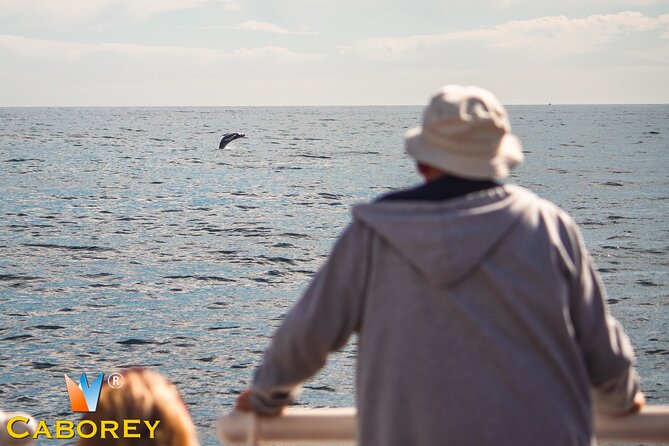 Cabo Whale Watch Three-Level Vessel and Majestic Arch - Key points to know before you book