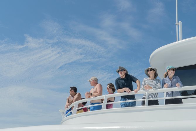 Cabo Whale Watch Three-Level Vessel and Majestic Arch - Breakfast with a Mexican touch