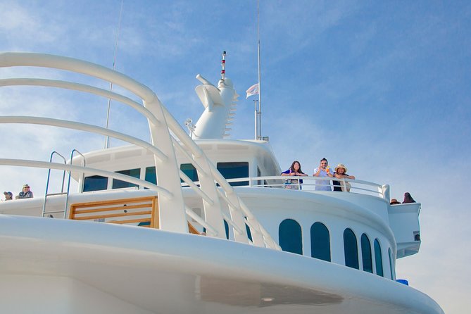 Cabo Whale Watch Three-Level Vessel and Majestic Arch - Who will like this cruise most