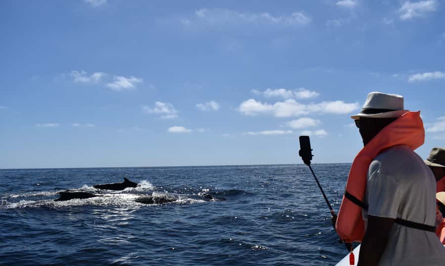 Cabo: Whale-Whatching Boat Trip w/ All-Women Crew and Photos - Listening to a whale through the hydrophone