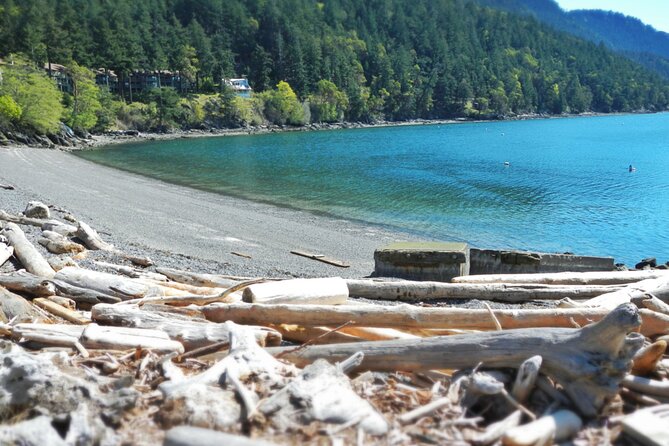 Cafes and Kayaks: Full Day Kayaking Adventure on Orcas Island - Starting at Rosario Marina and the Moran legacy