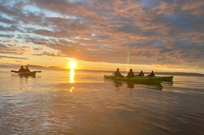Cafes and Kayaks: Full Day Kayaking Adventure on Orcas Island - Reaching Olga for food, art, and a change of pace