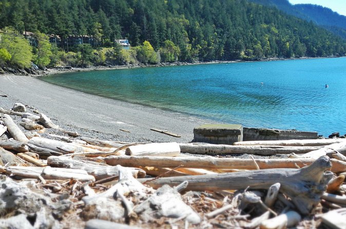Cafes and Kayaks: Full Day Kayaking Adventure on Orcas Island - How the $149 price compares with the experience