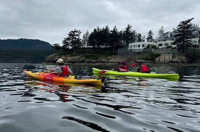 Cafes and Kayaks: Full Day Kayaking Adventure on Orcas Island - Guides, wildlife, and the advantage of local direction