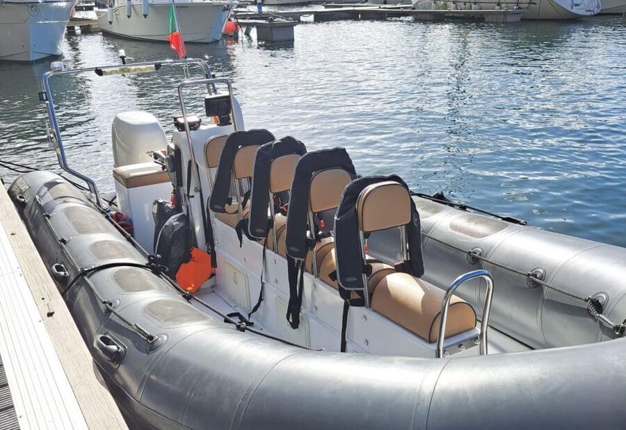 Calheta: Whale & dolphin watching small groups designer tour - A small boat gives Calheta a different feel