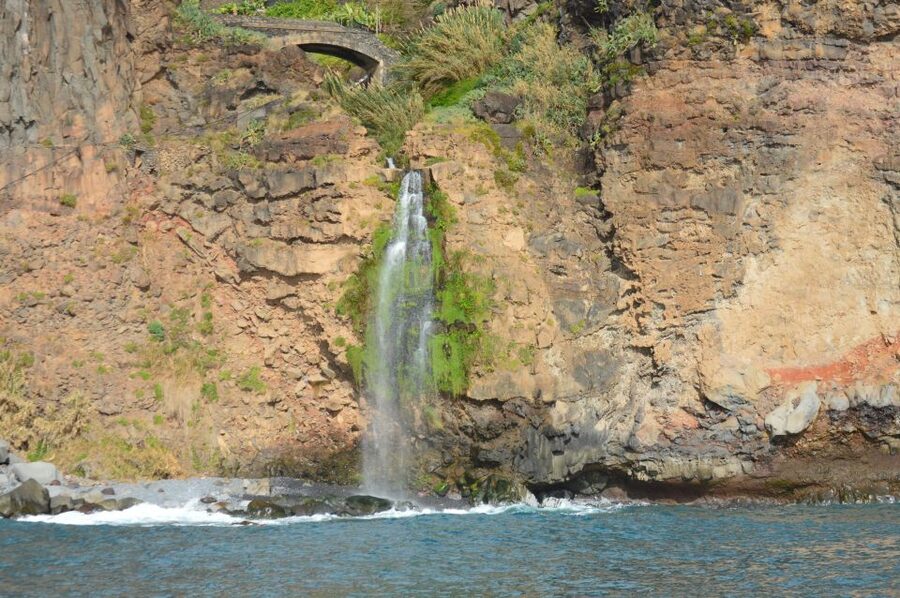 Calheta: Whale & dolphin watching small groups designer tour - Should you book the Calheta whale and dolphin tour?