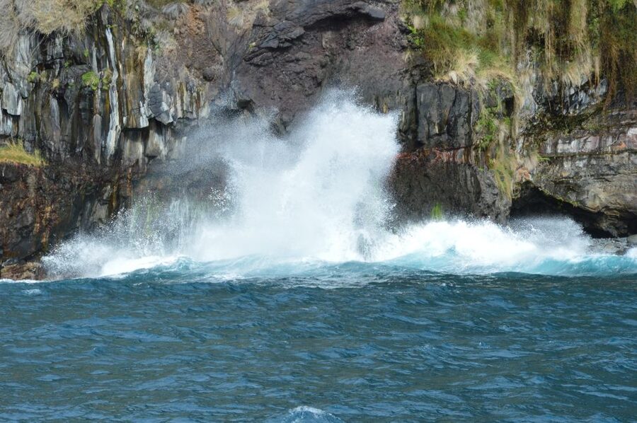Calheta: Whale & dolphin watching small groups designer tour - Meeting at Marina da Calheta