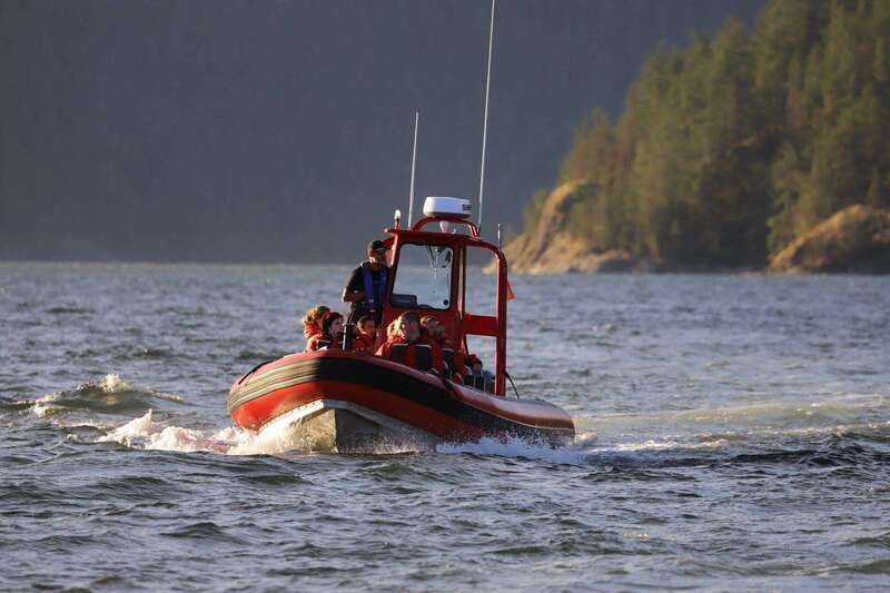 Campbell River: 6-Hour Whale Watching Boat Tour - Why this part of British Columbia makes a fine whale trip