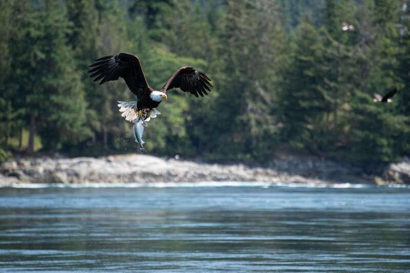 Campbell River: 6-Hour Whale Watching Boat Tour - Who will enjoy this tour most