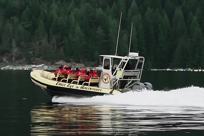 Campbell River, BC: 4 Hour Wildlife Tour Featuring Whale Watching - Key points to know before booking