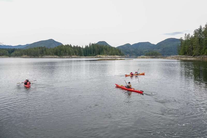 Campbell River: Kayaking and Whale Watching Tour - What the 9-hour schedule feels like