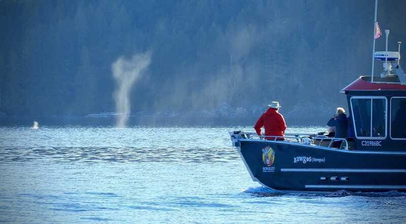 Campbell River: Salish Sea Whale Watching Adventure - What a Typical Four Hours Feel Like