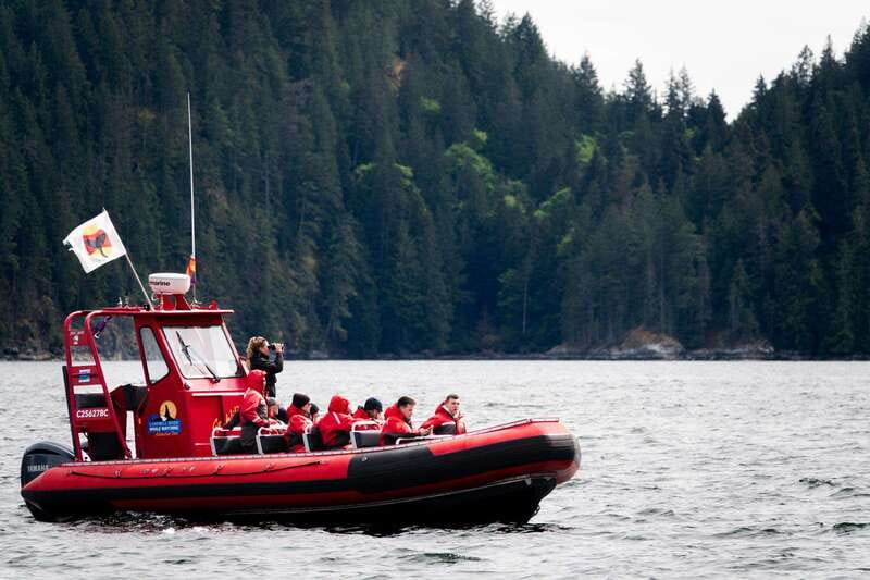 Campbell River: Whale Watching and Wildlife Viewing Day Tour - Lunch, hot drinks, and a practical break