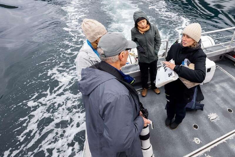 Campbell River: Whale & Wildlife Discovery Cruise - Weather, distance, and responsible viewing