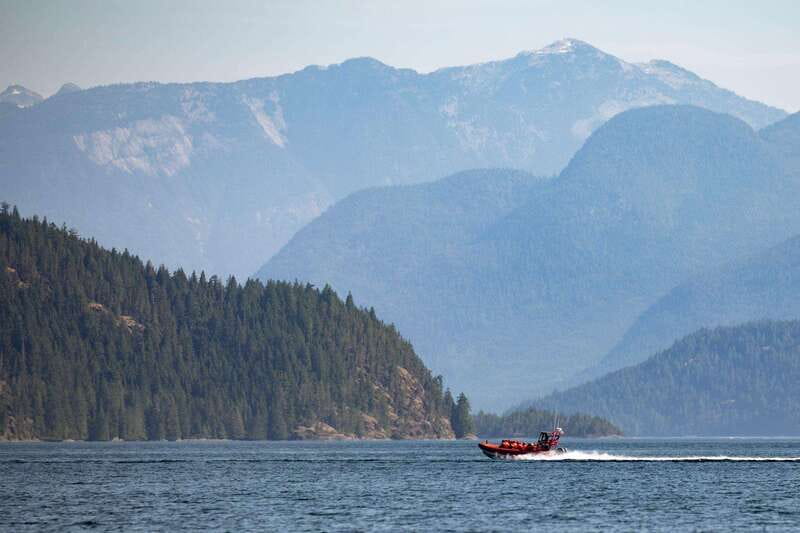 Campbell River: Whale & Wildlife Discovery Cruise - Hydrophones and the naturalist guide
