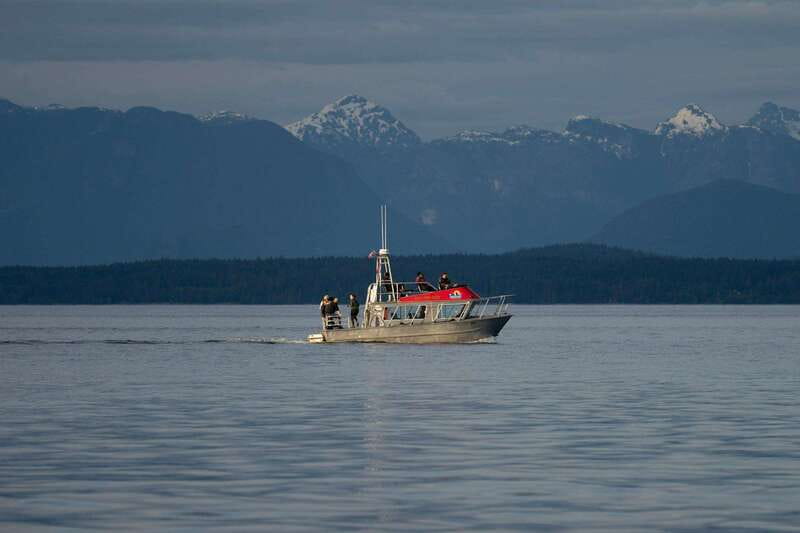Campbell River: Whale & Wildlife Discovery Cruise - Getting to the marina and parking